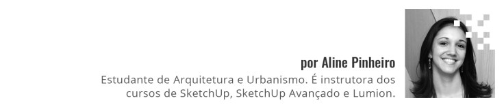 aline_assinatura_wordpress